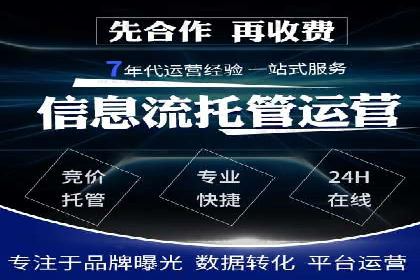 某行业领军企业的SEM广告投放策略